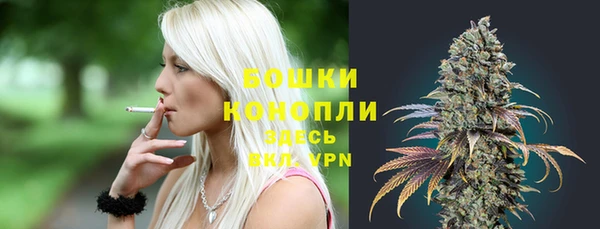 тгк Белокуриха