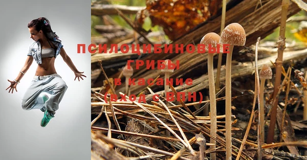 гидропоника Белоозёрский