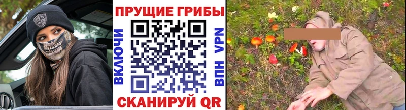 как найти закладки  Пионерский  Псилоцибиновые грибы Cubensis 